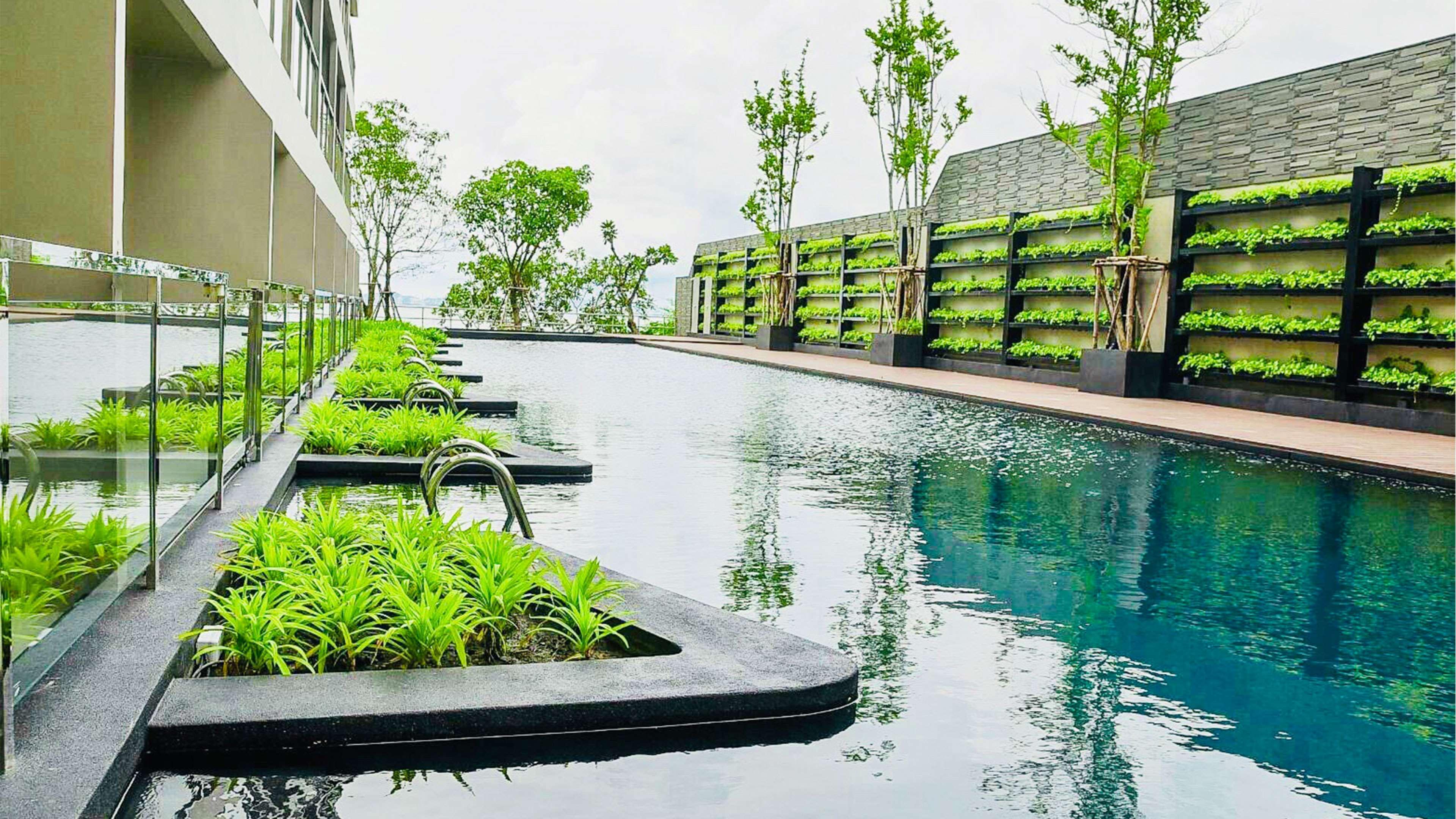 Golden Tulip Hotel