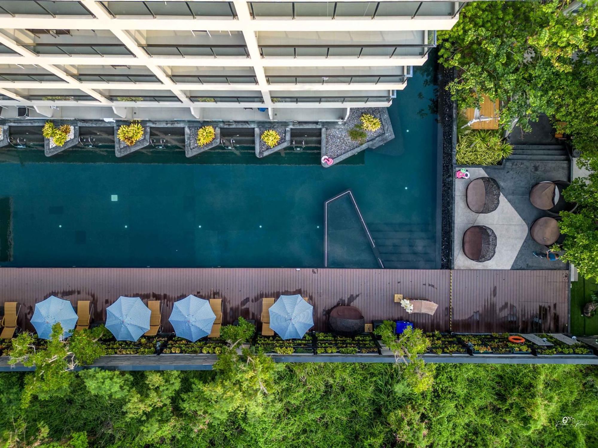 Golden Tulip